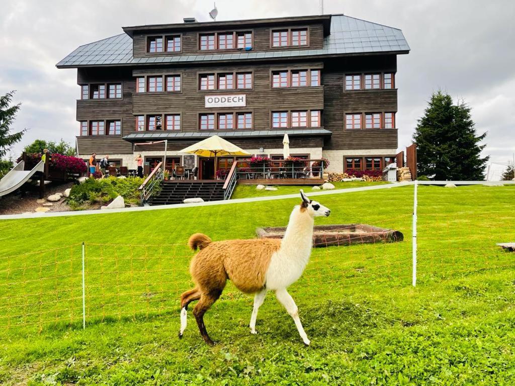 Hotel Oddech Pec pod Sněžkou Exterior foto