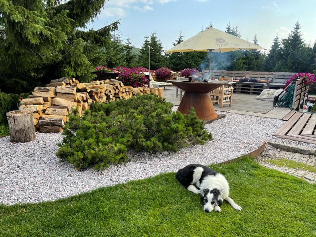 Hotel Oddech Pec pod Sněžkou Exterior foto